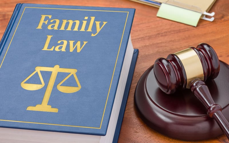 Child Custody Investigations